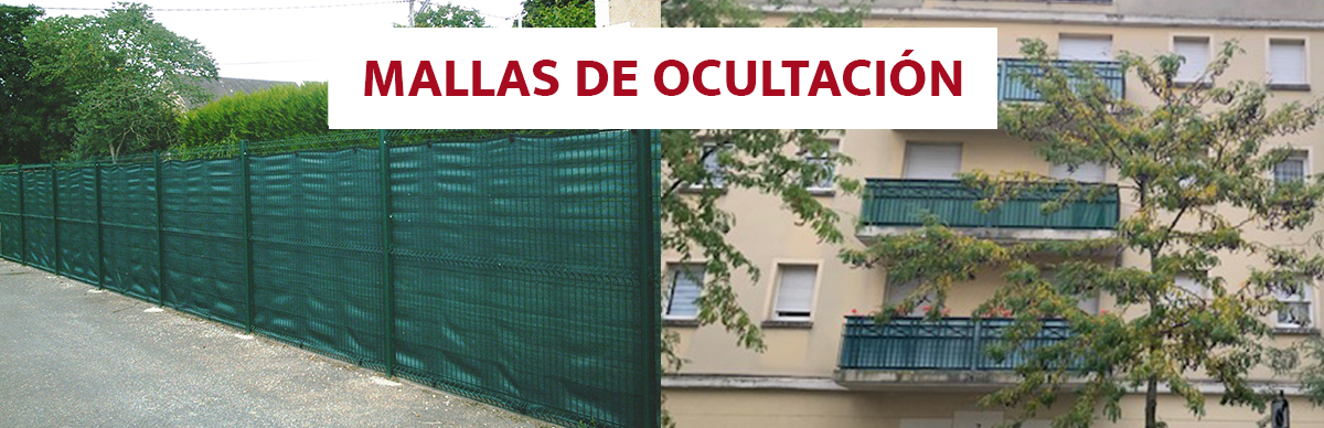 Versión estándar
