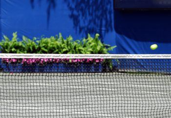 Red de tenis